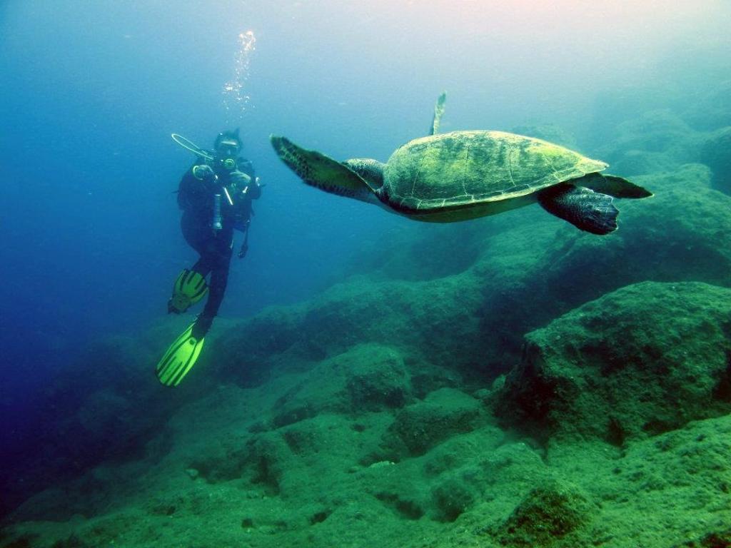 Alanya Scuba Diving