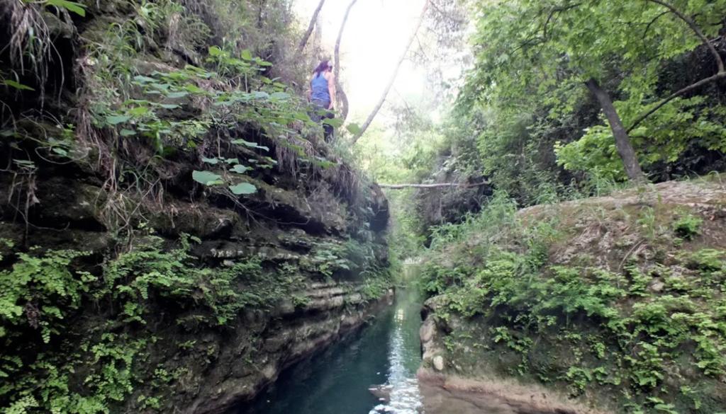 Tour from Alanya to Side Ancient City - Manavgat - Hidden Paradise